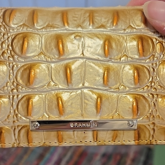 Brahmin Ady Wallet in Golden Rod Ombre Melbourne. NWT. - Picture 2 of 15